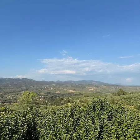 Large Near The Sea Semesterbostad *