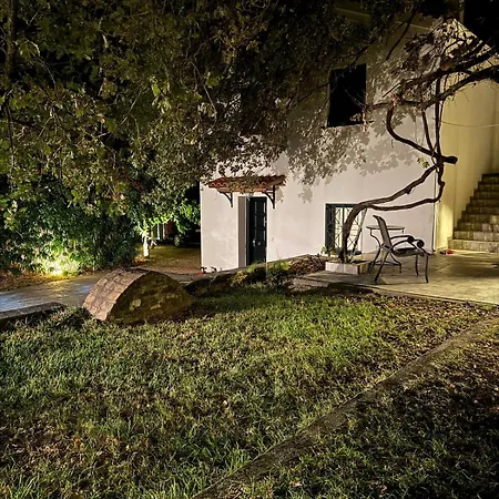 Large Near The Sea * Kyparissia