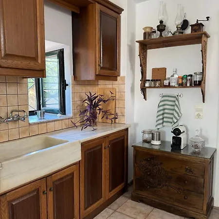 Large Near The Sea 基帕里夏