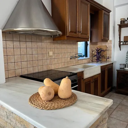 Tatil Evi Large Near The Sea Kyparissia