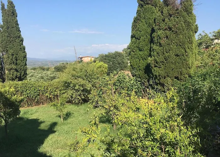 Large Near The Sea * Kyparissia